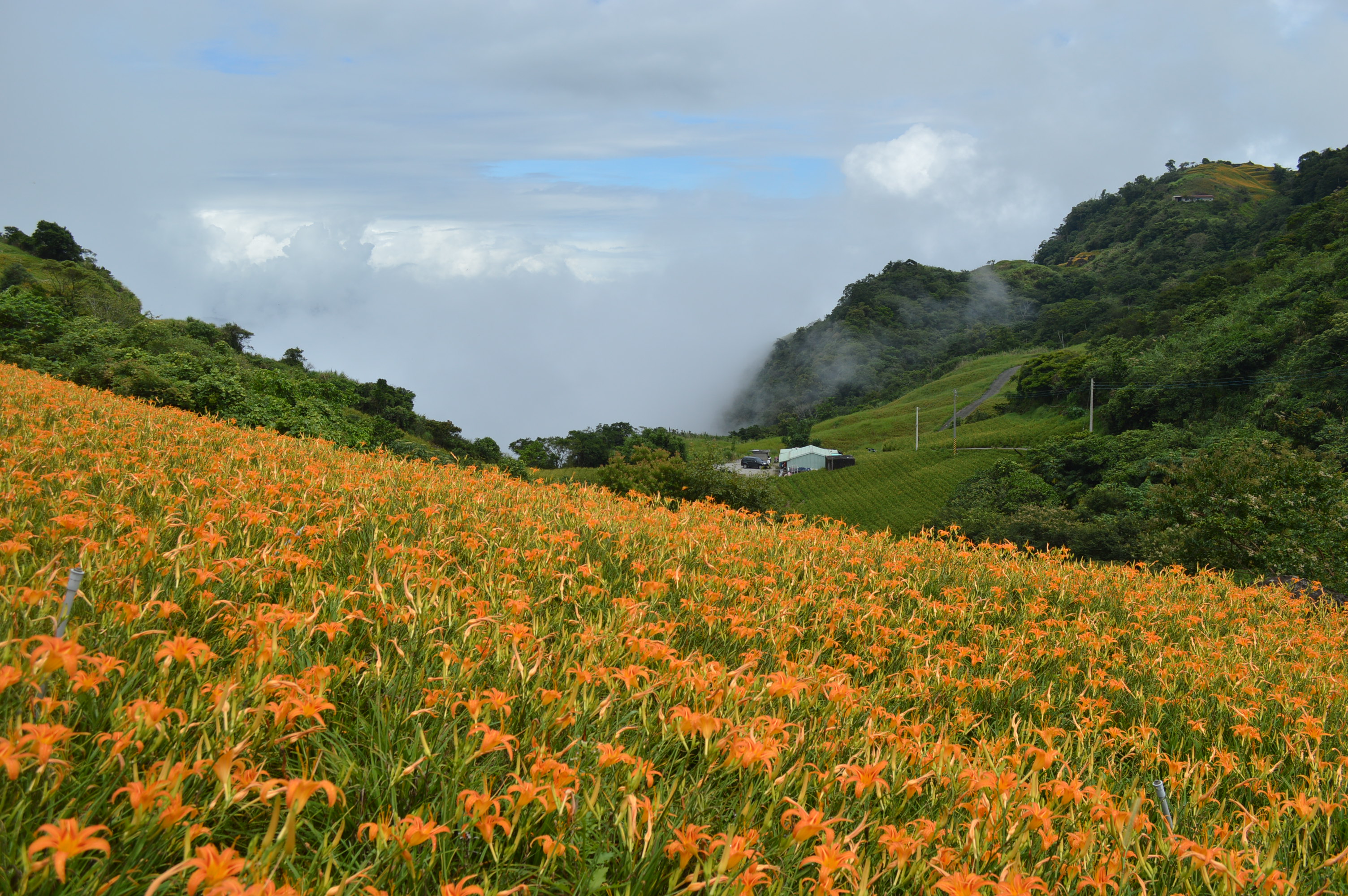 期間限定の絶景 六十石山 – 台湾ガイド紹介所