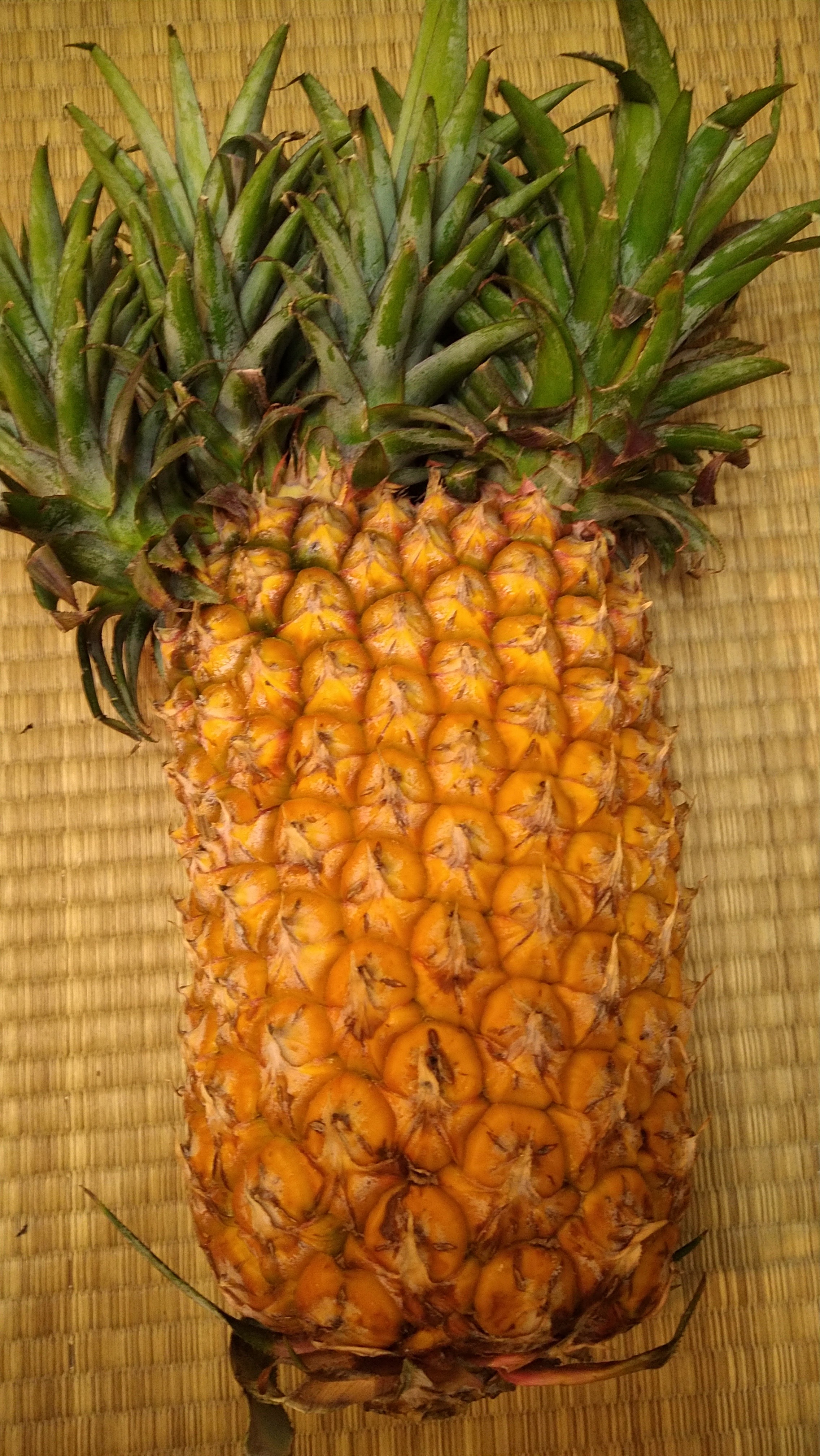 パイナップル パイナップル_1-500x334.jpg