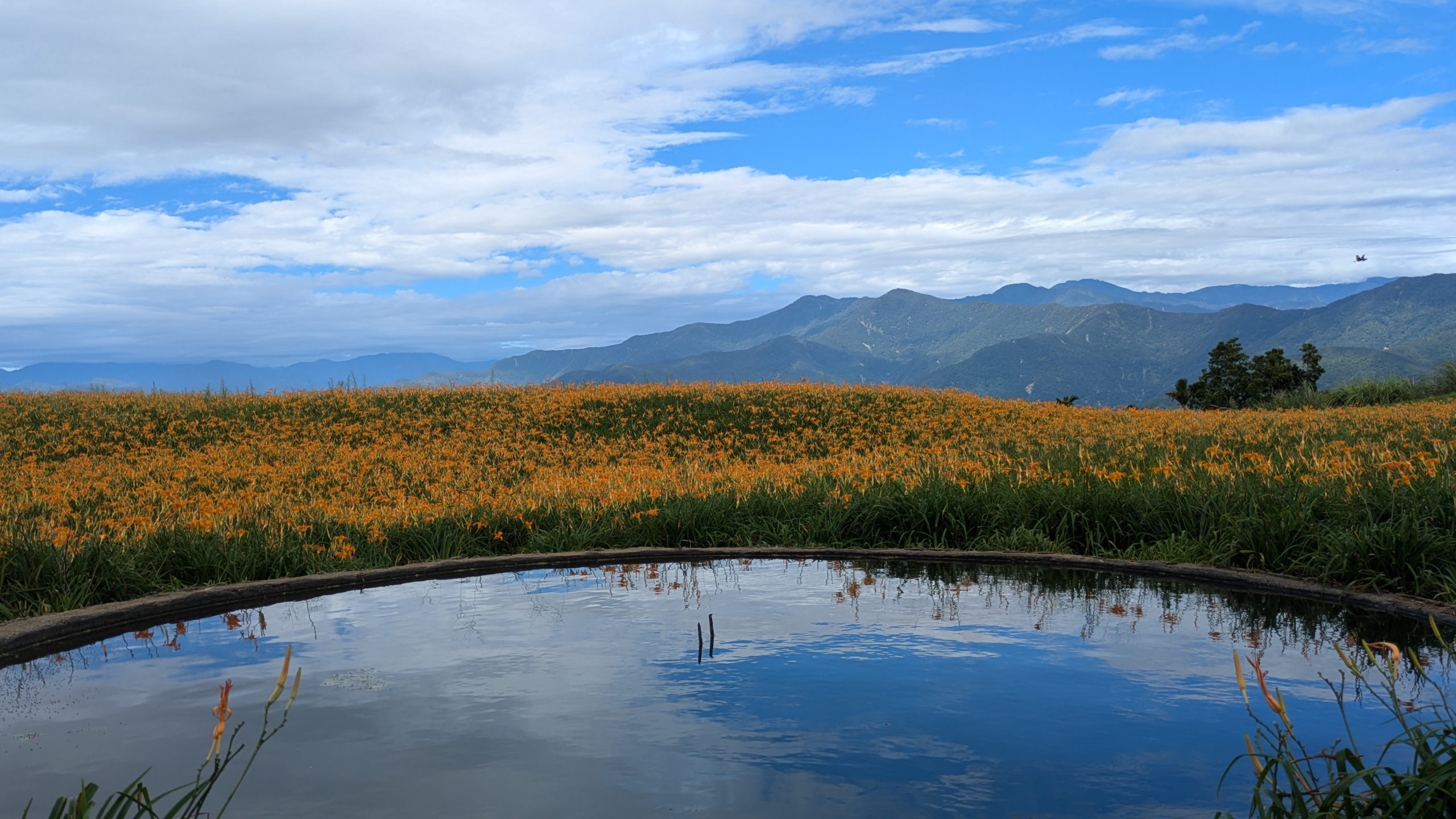 花蓮ページ 六十石山2025(花蓮) – 台湾ガイド紹介所